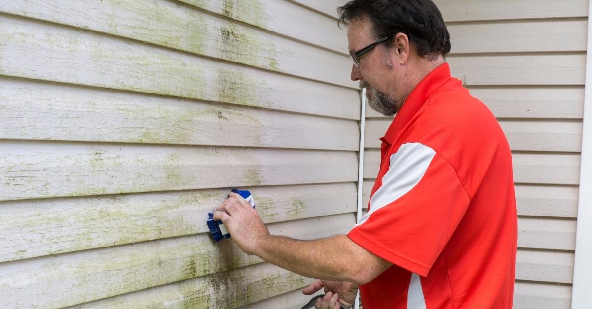 How to clean vinyl siding without a pressure washer: DIY Tips