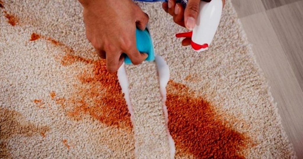How To Get Chocolate Milk Out Of Carpet