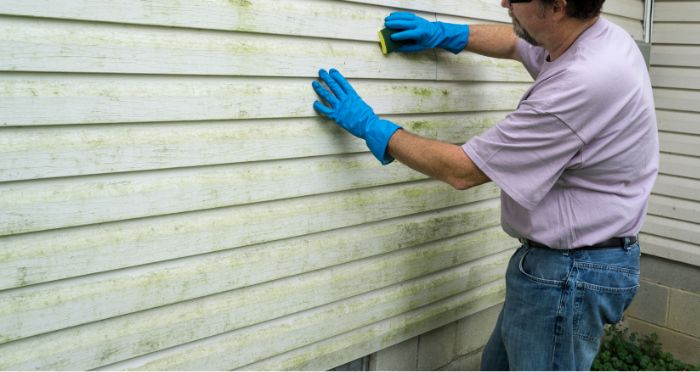 Things to Know When You Clean Your House Siding