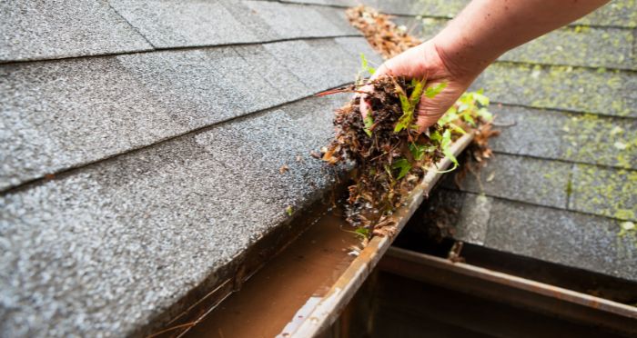 Why Clean Your Gutters