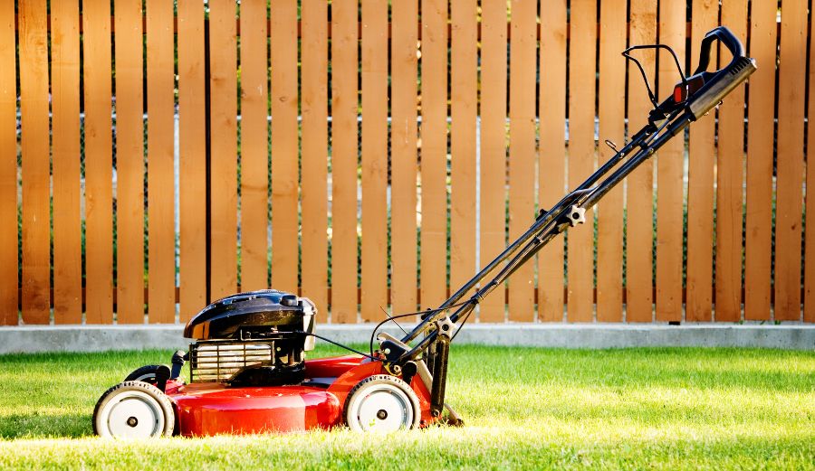 Top 5 Lawn Mowers for a Perfectly Manicured Lawn